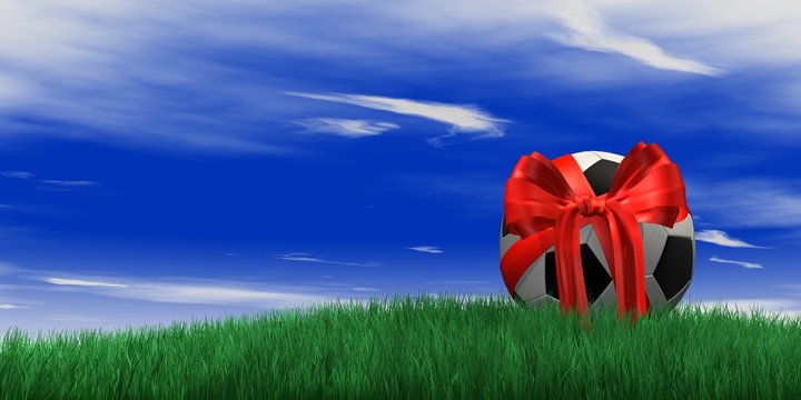 Fussball in der Natur