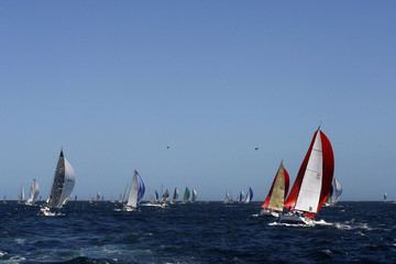 Fototapeta premium Voilier