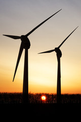 Wind farm at sunset