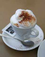 Wiener Cappuccino