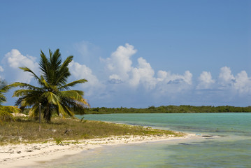 Bahama Beach