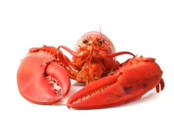 Crédence de cuisine en verre imprimé Crustacés red lobster