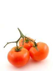 Tomatoes