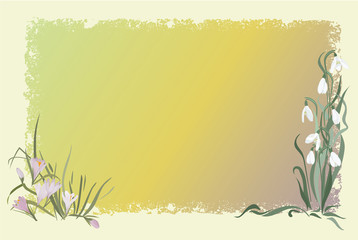 Spring flowers gradient card.