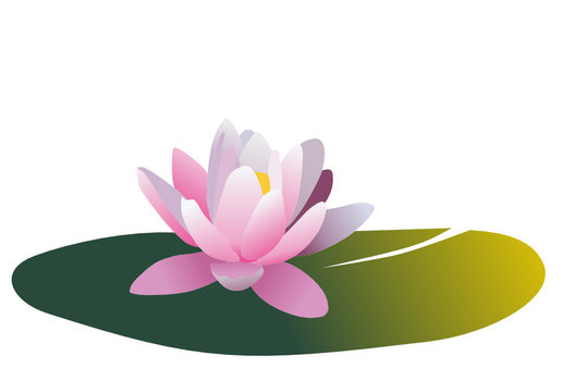 pink lotus flower on green leaf clip art preview