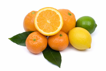 Fototapeta na wymiar Citrus fruit isolated on white