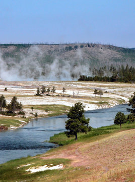 Yellowstone landscape 