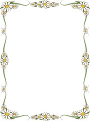 Daisy Border