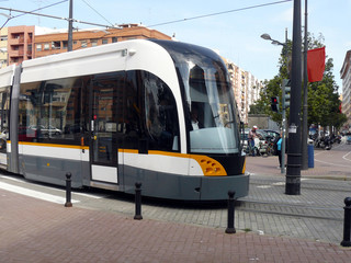 Naklejka premium tren