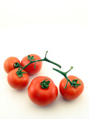 Tomatoes