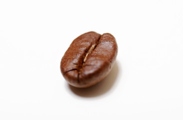 Kaffee, Kaffeebohne