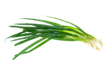 green onion