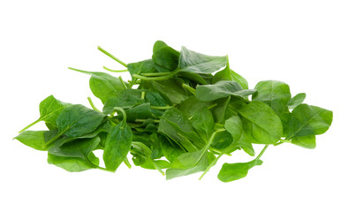fresh spinach leaves