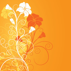 Decorative floral background, vector illustration 