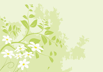 Fototapeta premium vecteur série - design floral arbre et fleurs au printemps