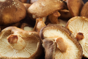 Shiitake Mushrooms