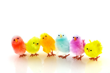 many easter chickens