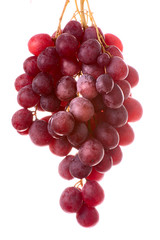 Fototapeta premium bunch of grapes