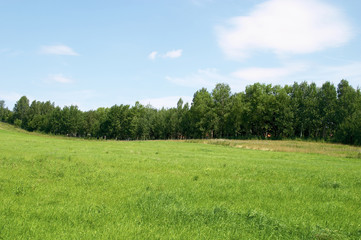 The sky a wood a grass