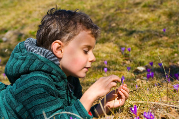 Beautiful child between crocus flowers