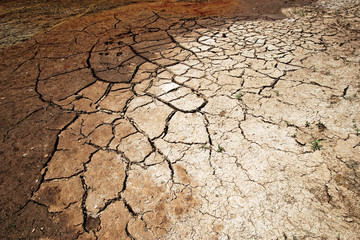 Terre asséchée.