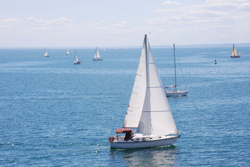 Obraz premium Sailing boats