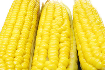 Fresh sweet corns