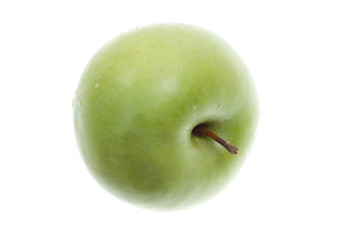 Green present apple.Object on a white background.