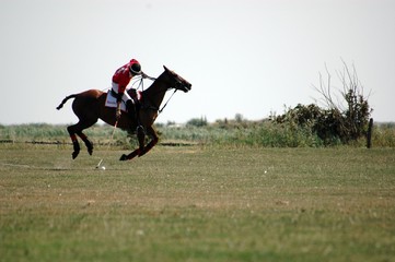 Polo Polospieler