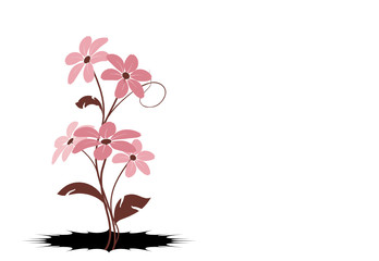 vecteur série - fleurs roses