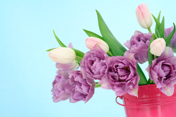tulips