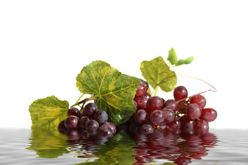 Grape cluster with leaves  in water