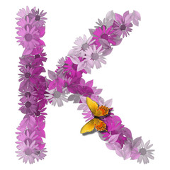 alphabetical letter forms pink daisy color consonant K