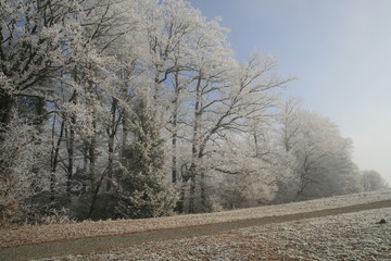 hivernale