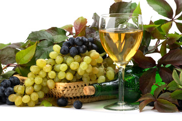 Fototapeta premium Wine composition