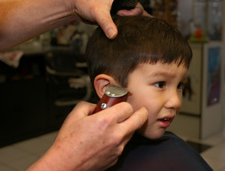 Little boy getting haircut