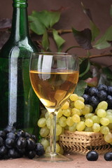Wine composition White wine