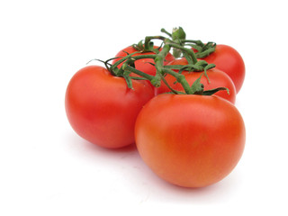 Tomatoes on branch with leaves 
