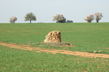 Campo con ruina