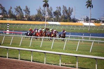 Obraz premium Racing on Turf