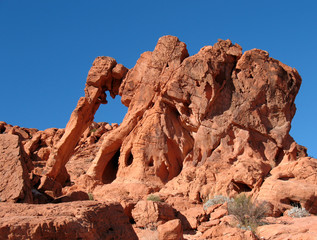 Fototapeta premium Elephant Rock, Valley of Fire, Nevada