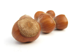 Hazelnuts isolated on white background