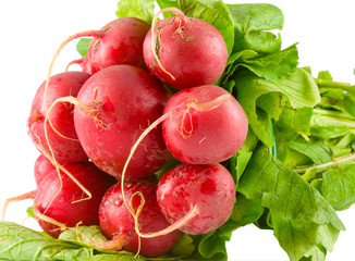 radish
