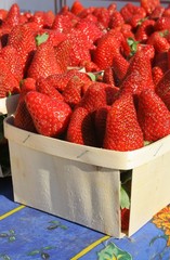 Panier de fraises