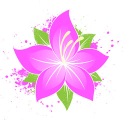 Fototapeta premium Fleur design