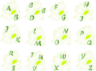 Spring alphabet