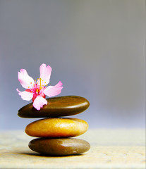 Small pink flower atop three stacked stones
