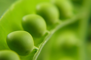 peas in pea pod