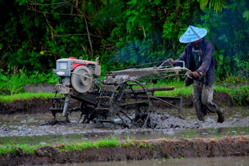 Obraz premium Lombok 327