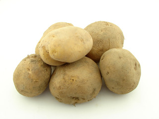 Potato